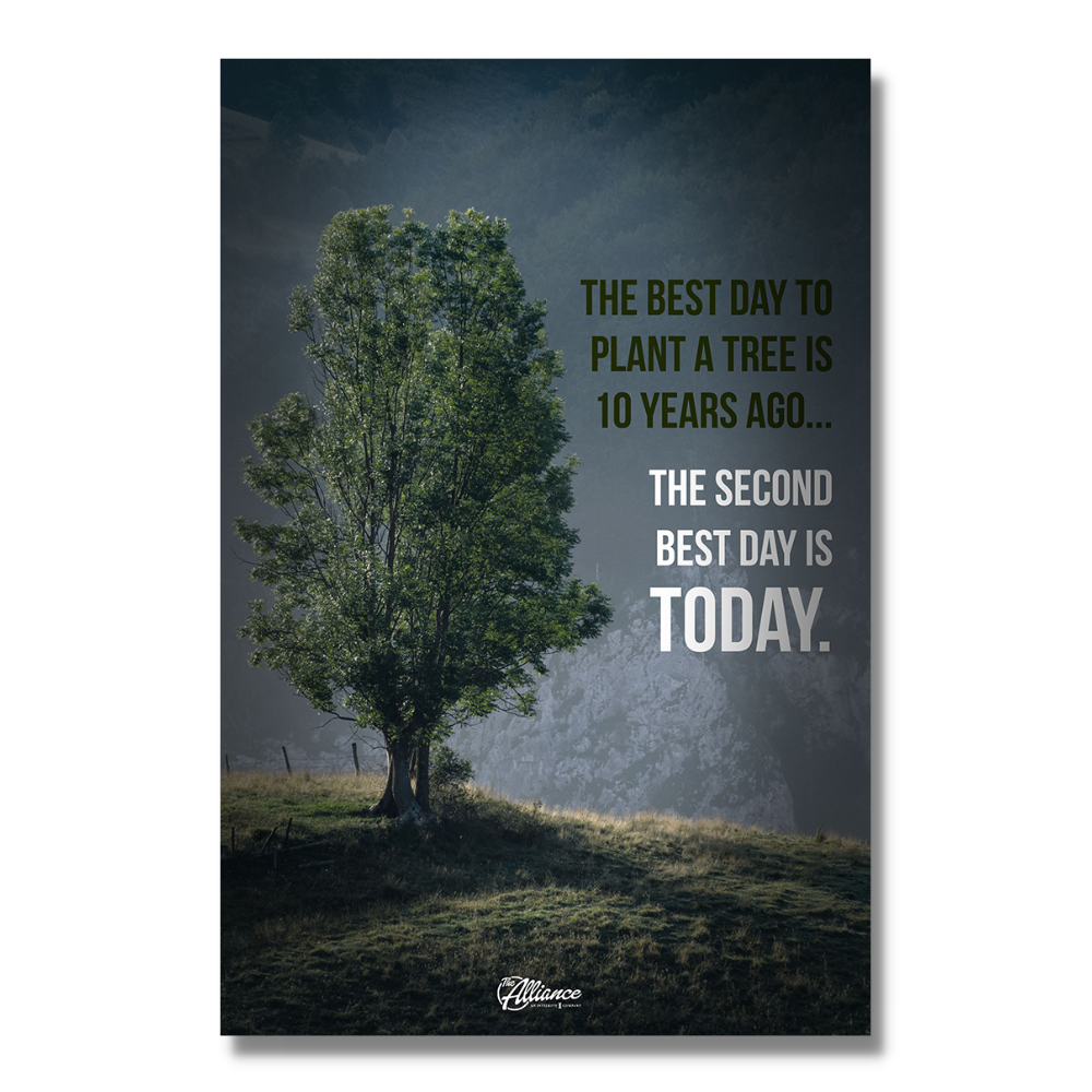 Plant A Tree Poster