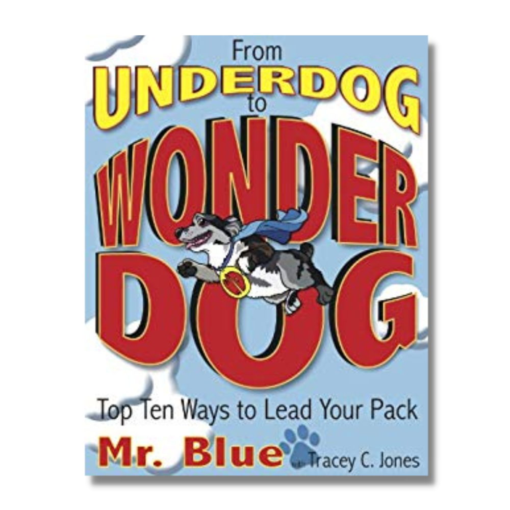 From Underdog to Wonder Dog